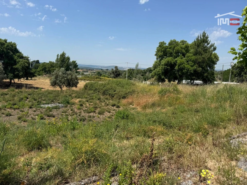 Terreno para Venda em Mouriscas Foto 5