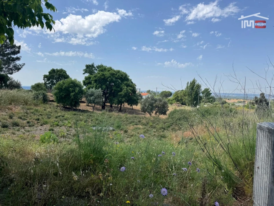 Terreno para Venda em Mouriscas Foto 7