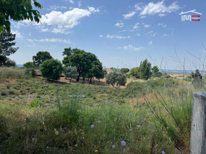 Terreno para Venda em Mouriscas Foto 7