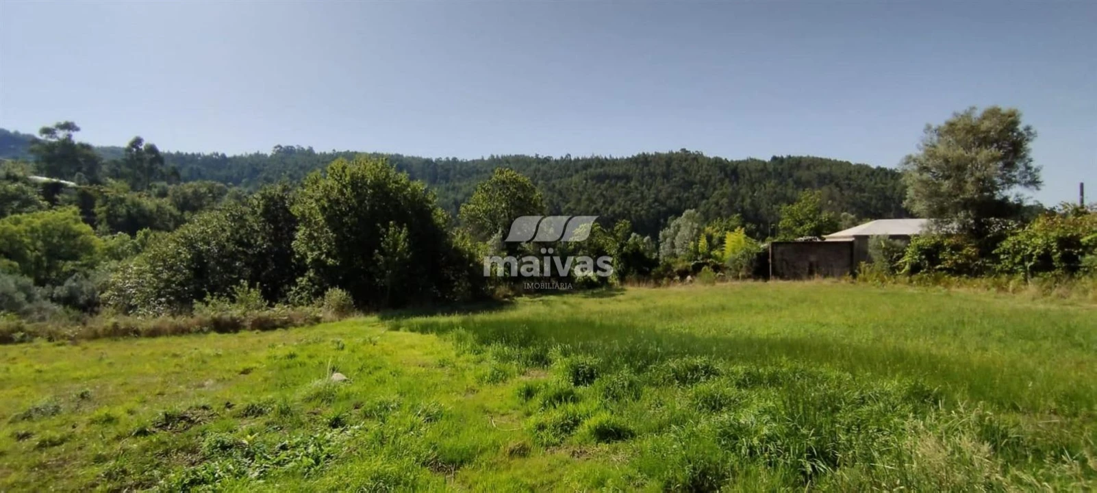 Terreno P/ Prédio para Venda em Ribeira do Neiva Foto 3