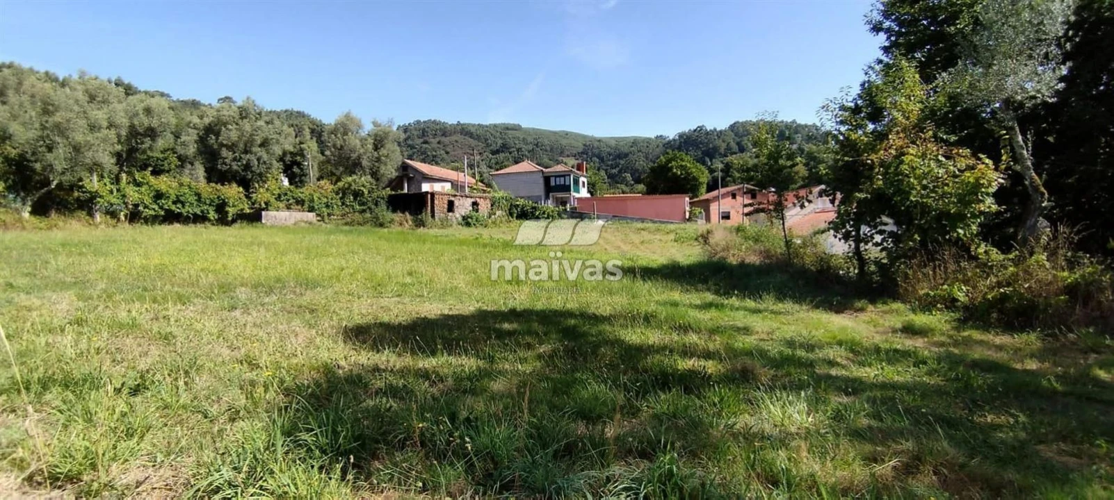 Terreno P/ Prédio para Venda em Ribeira do Neiva Foto 9