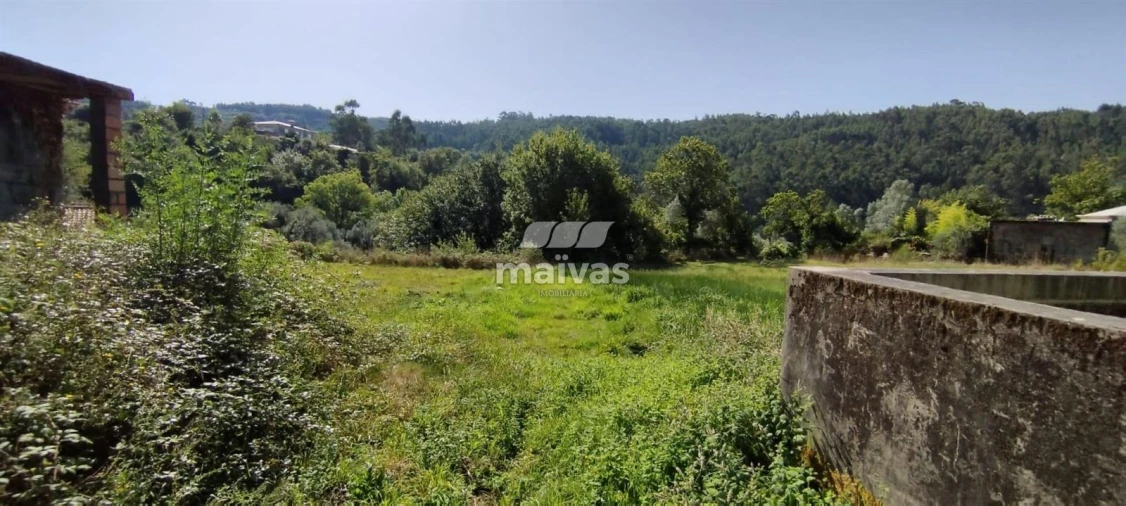 Terreno P/ Prédio para Venda em Ribeira do Neiva Foto 5
