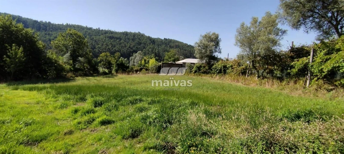 Terreno P/ Prédio para Venda em Ribeira do Neiva Foto 7