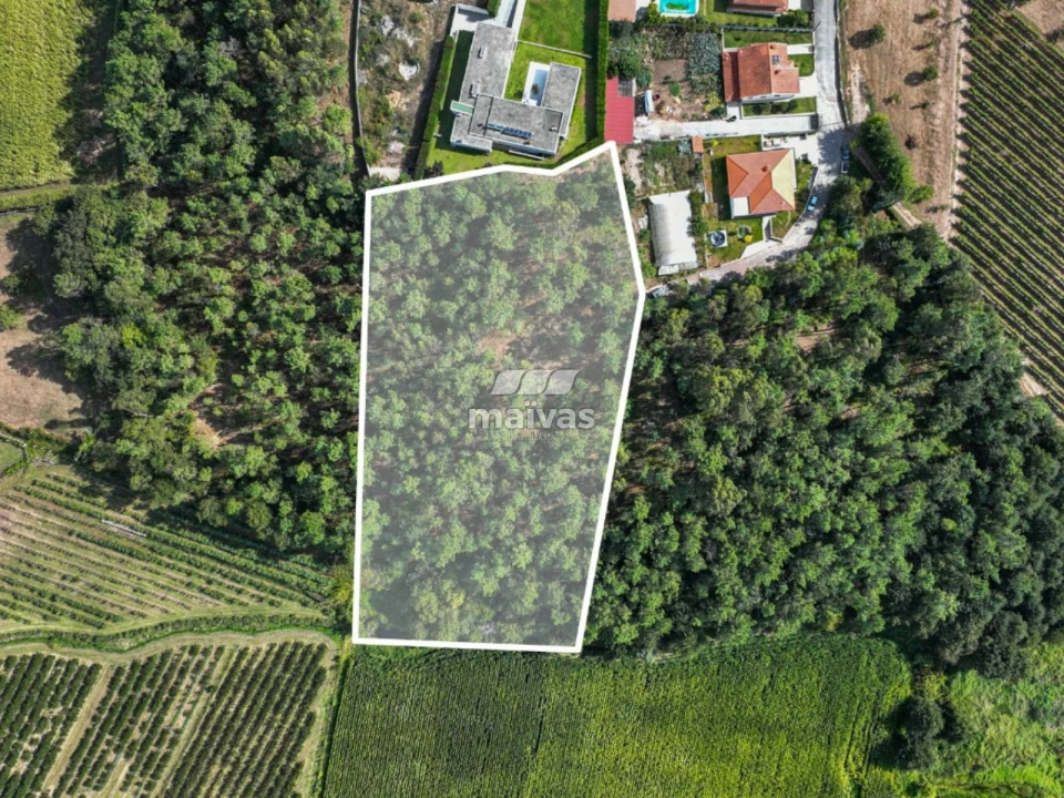 Terreno Agricola ou Rústico para Venda em Lanhas Foto 2