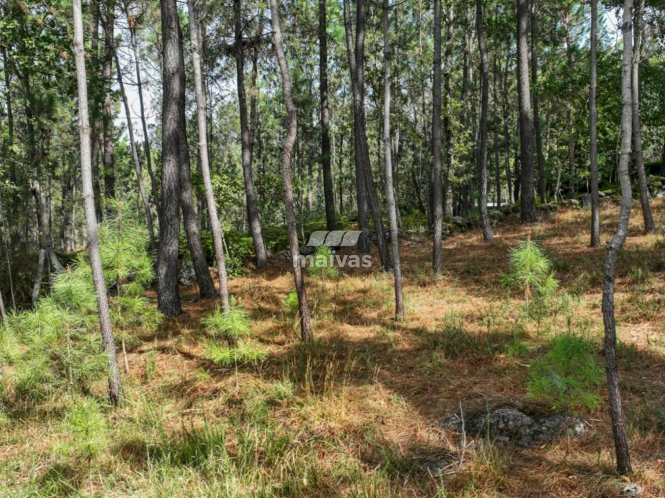 Terreno Agricola ou Rústico para Venda em Lanhas Foto 8