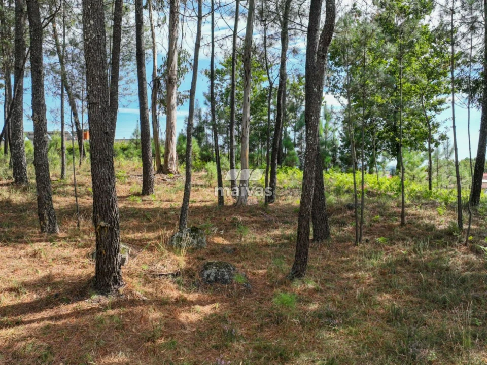 Terreno Agricola ou Rústico para Venda em Lanhas Foto 9