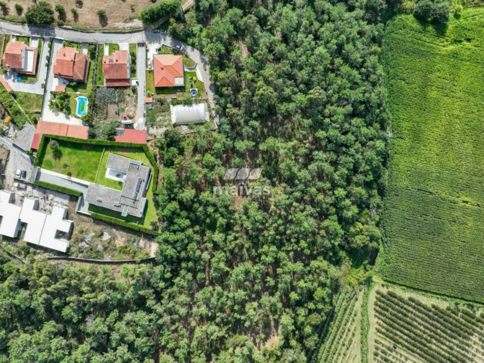 Terreno Agricola ou Rústico para Venda em Lanhas Foto 11