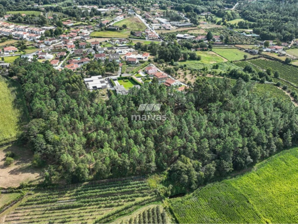 Terreno Agricola ou Rústico para Venda em Lanhas Foto 13