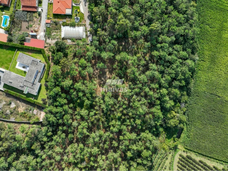 Terreno Agricola ou Rústico para Venda em Lanhas Foto 16