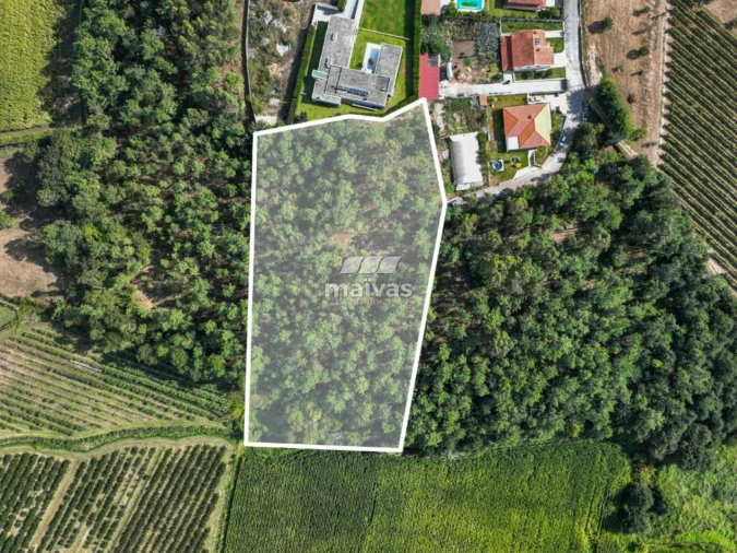 Terreno Agricola ou Rústico para Venda em Lanhas Foto 2