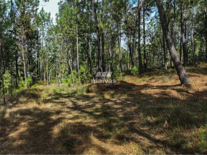 Terreno Agricola ou Rústico para Venda em Lanhas Foto 3