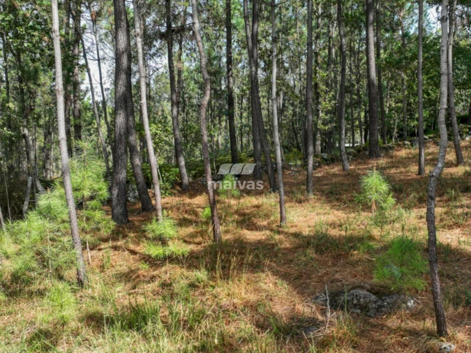 Terreno Agricola ou Rústico para Venda em Lanhas Foto 8