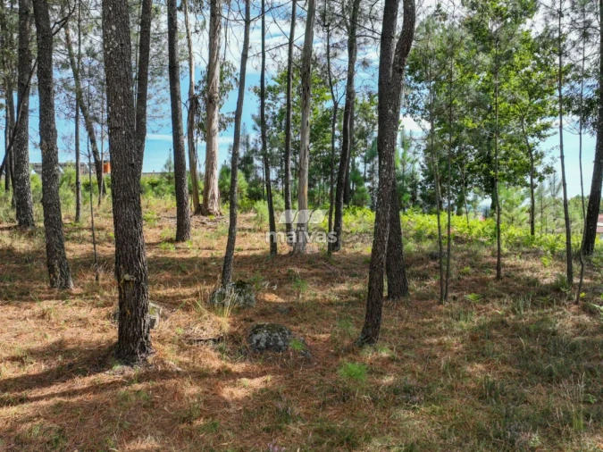 Terreno Agricola ou Rústico para Venda em Lanhas Foto 9