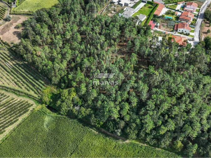 Terreno Agricola ou Rústico para Venda em Lanhas Foto 10