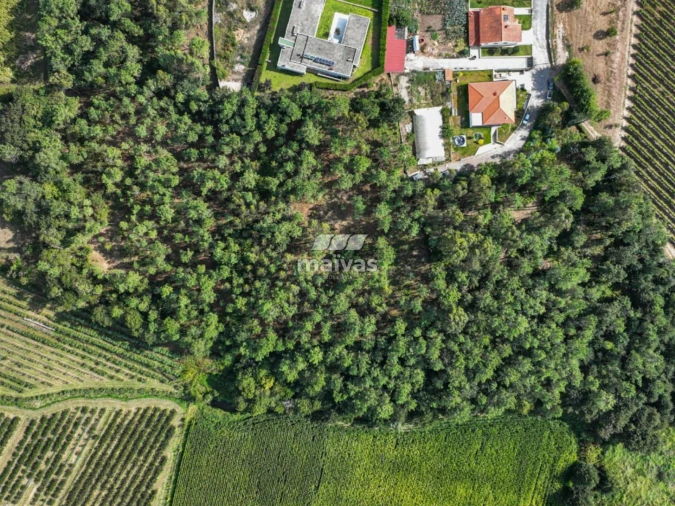 Terreno Agricola ou Rústico para Venda em Lanhas Foto 12