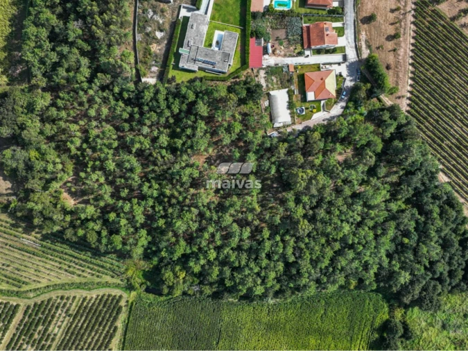 Terreno Agricola ou Rústico para Venda em Lanhas Foto 14