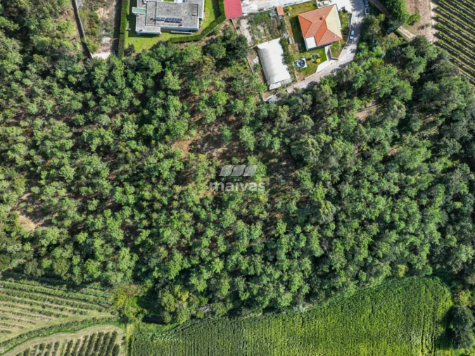 Terreno Agricola ou Rústico para Venda em Lanhas Foto 17