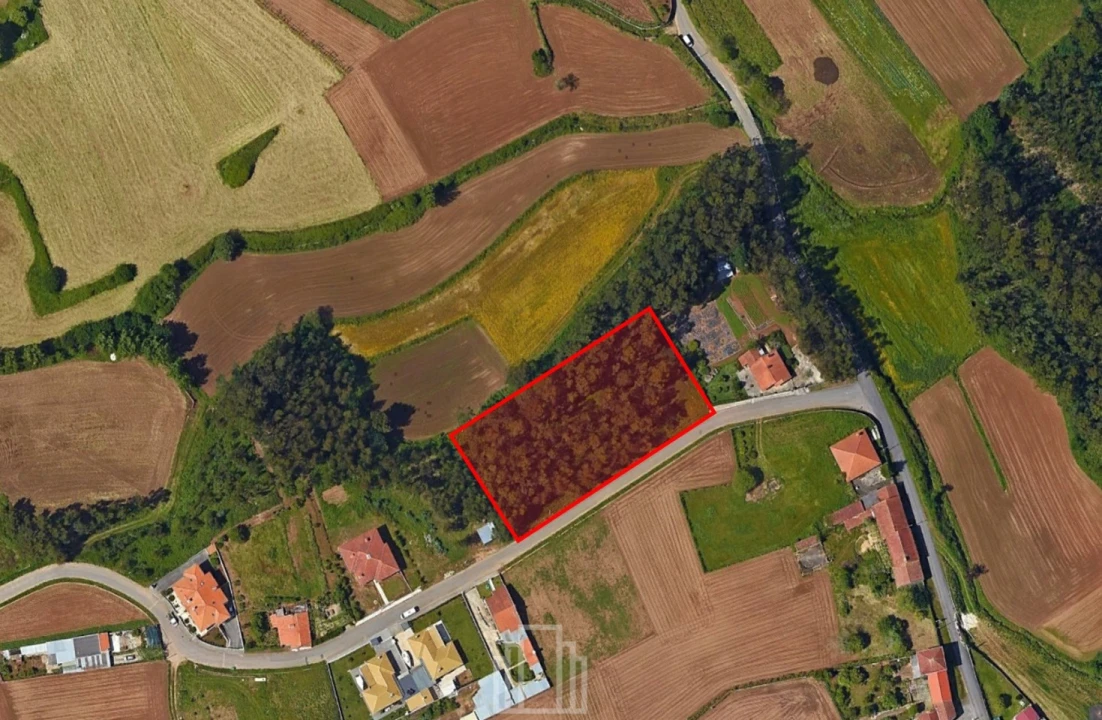 Terreno Agricola ou Rústico para Venda em Valega Foto 1