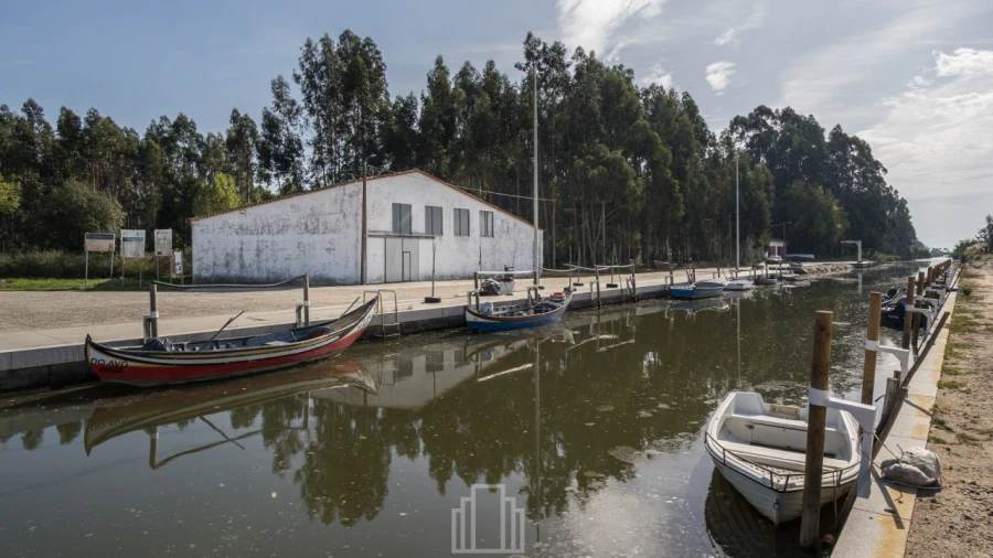 Armazém para Arrendamento em Valega Foto 22