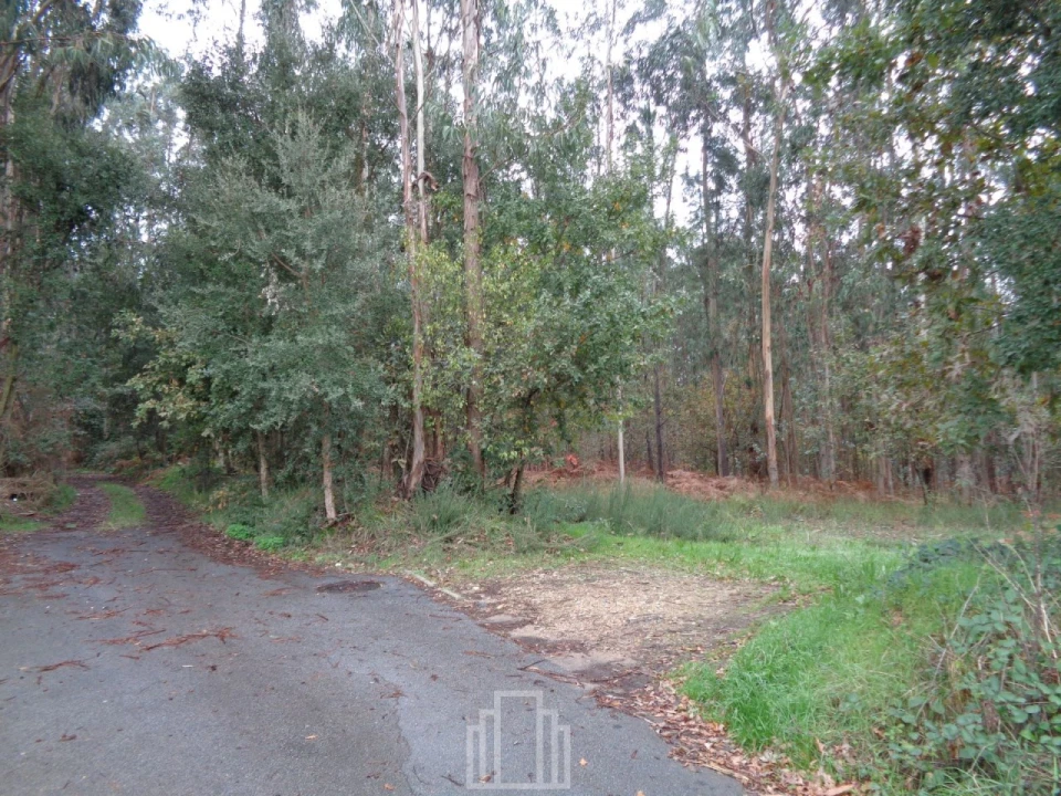 Terreno Agricola ou Rústico para Venda em Ovar, São João, Arada e São Vicente de Pereira Jusã Foto 3