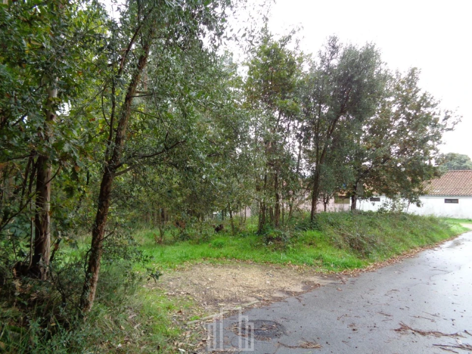 Terreno Agricola ou Rústico para Venda em Ovar, São João, Arada e São Vicente de Pereira Jusã Foto 5