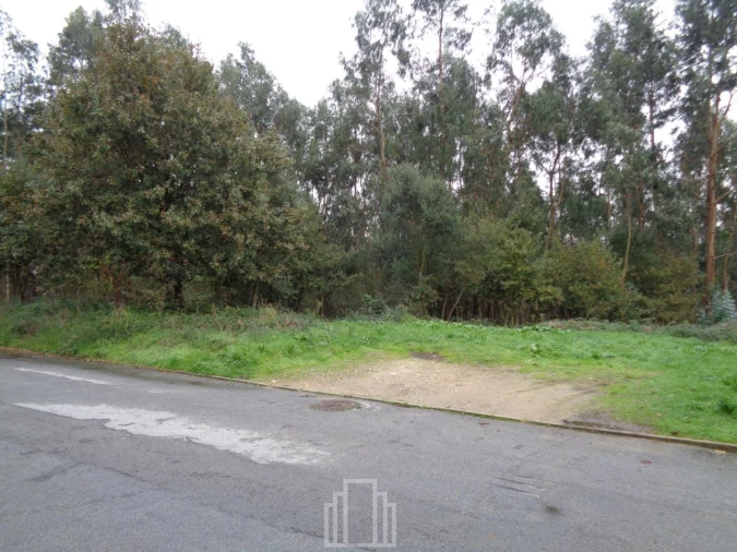 Terreno Agricola ou Rústico para Venda em Ovar, São João, Arada e São Vicente de Pereira Jusã Foto 2