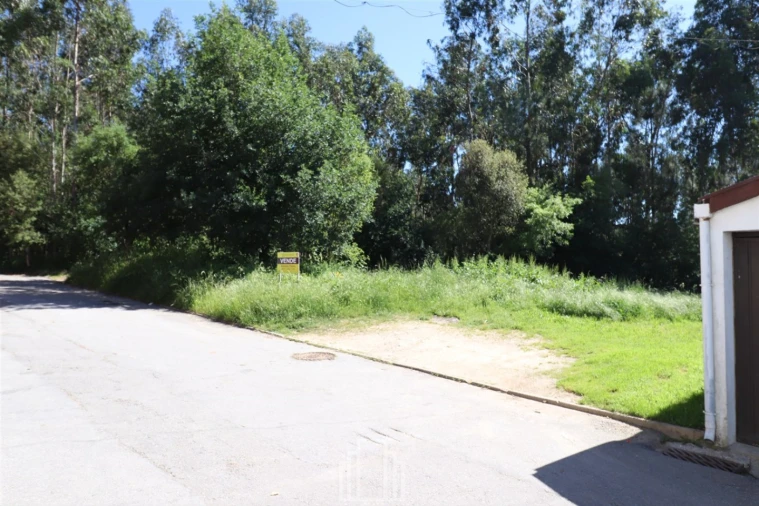 Terreno Agricola ou Rústico para Venda em Ovar, São João, Arada e São Vicente de Pereira Jusã Foto 1