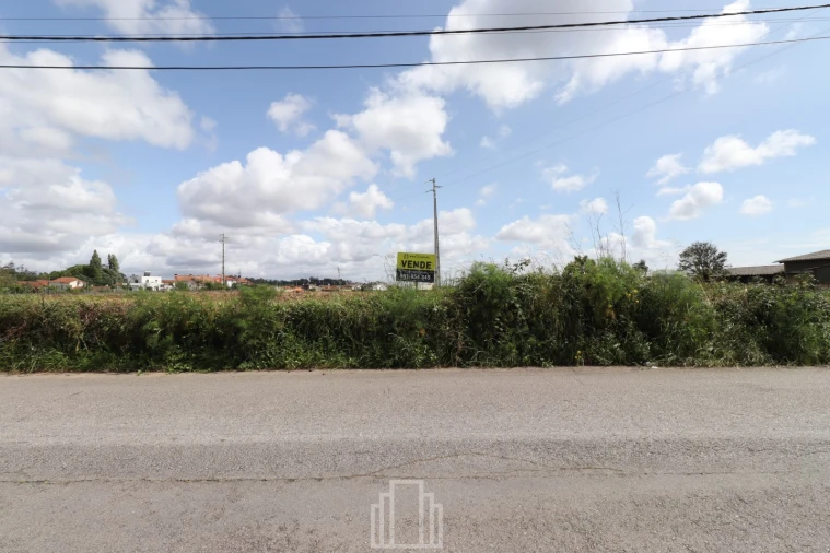 Terreno Agricola ou Rústico para Venda em Ovar, São João, Arada e São Vicente de Pereira Jusã Foto 3