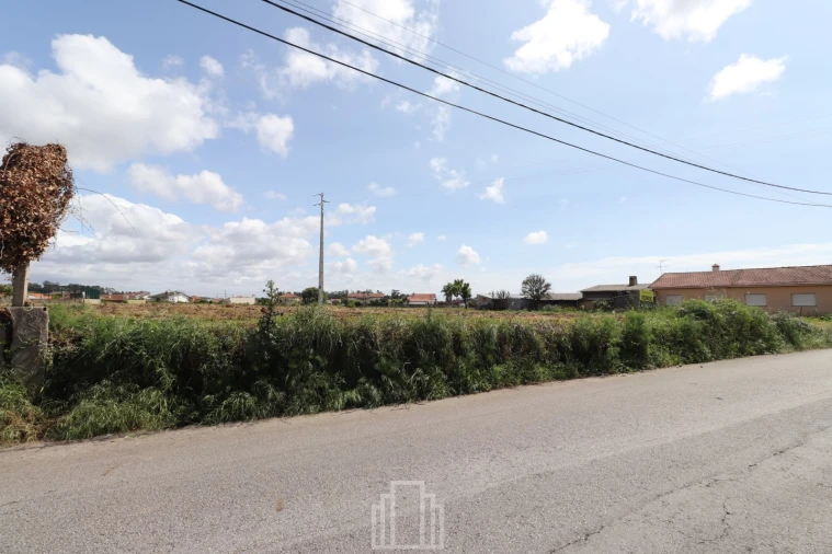 Terreno Agricola ou Rústico para Venda em Ovar, São João, Arada e São Vicente de Pereira Jusã Foto 5