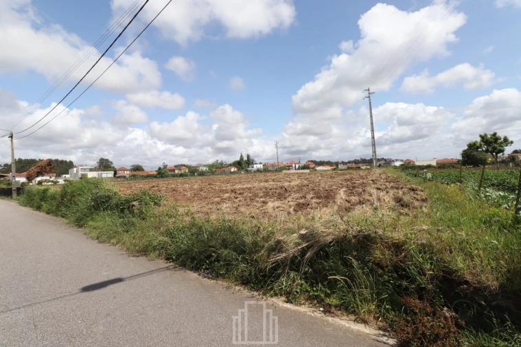 Terreno Agricola ou Rústico para Venda em Ovar, São João, Arada e São Vicente de Pereira Jusã Foto 6