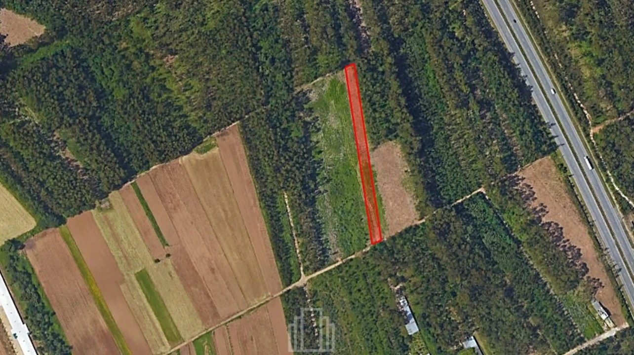 Terreno Agricola ou Rústico para Venda em Ovar, São João, Arada e São Vicente de Pereira Jusã Foto 1