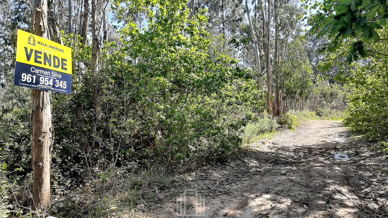 Terreno Agricola ou Rústico para Venda em Ovar, São João, Arada e São Vicente de Pereira Jusã Foto 3