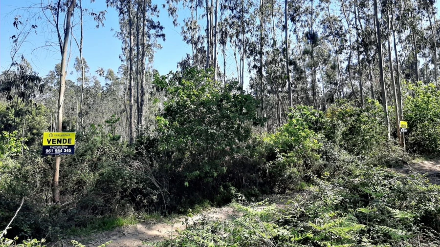 Terreno Agricola ou Rústico para Venda em Ovar, São João, Arada e São Vicente de Pereira Jusã Foto 4