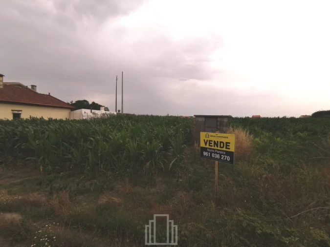 Terreno Agricola ou Rústico para Venda em Monte Foto 2