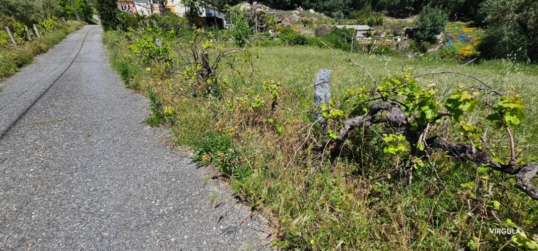 Quinta T2 para Venda em Orjais Foto 39