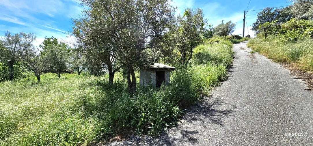 Quinta T2 para Venda em Orjais Foto 6