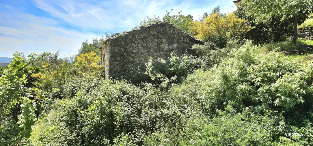 Quinta T2 para Venda em Orjais Foto 37