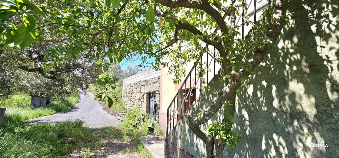 Quinta T2 para Venda em Orjais Foto 5