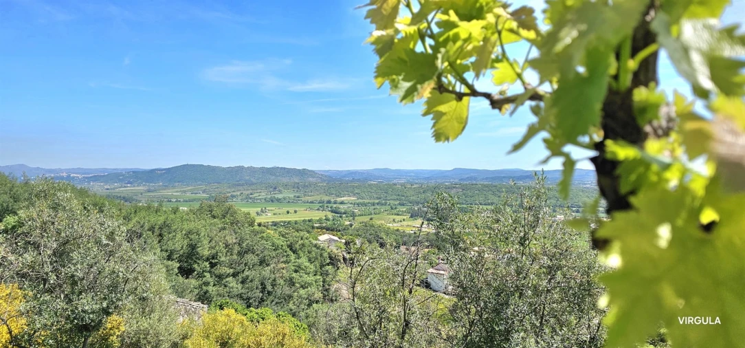 Quinta T2 para Venda em Orjais Foto 24