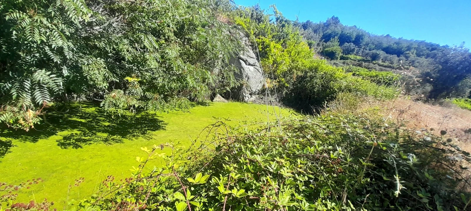 Quinta T0 para Venda em Teixoso e Sarzedo Foto 25