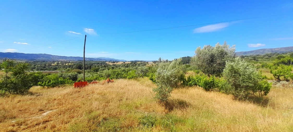 Quinta T0 para Venda em Teixoso e Sarzedo Foto 24