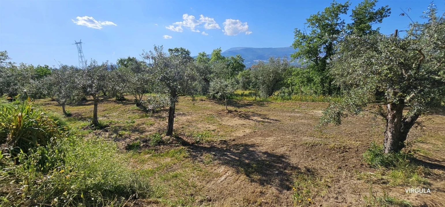 Terreno para Venda em Ferro Foto 23