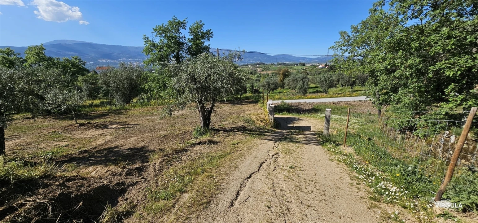 Terreno para Venda em Ferro Foto 25