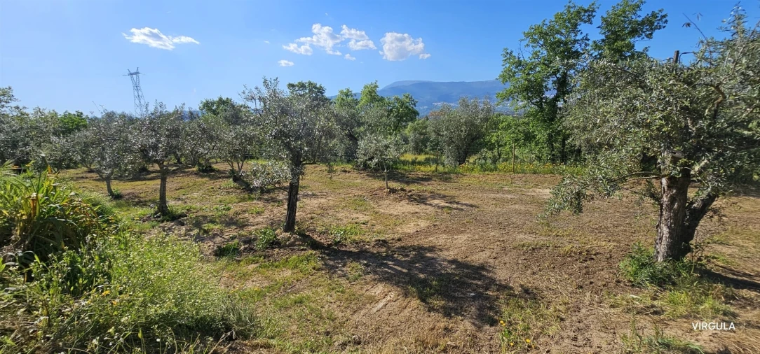 Terreno para Venda em Ferro Foto 23