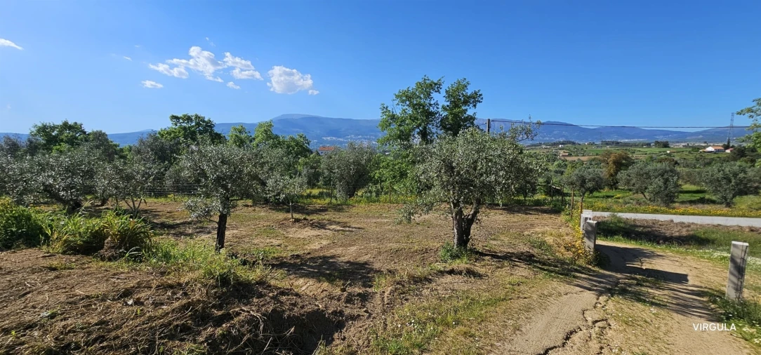 Terreno para Venda em Ferro Foto 24