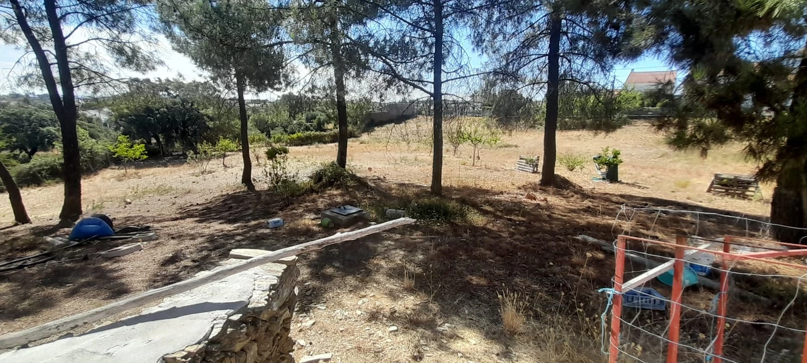 Armazém para Venda em Cebolais de Cima e Retaxo Foto 29