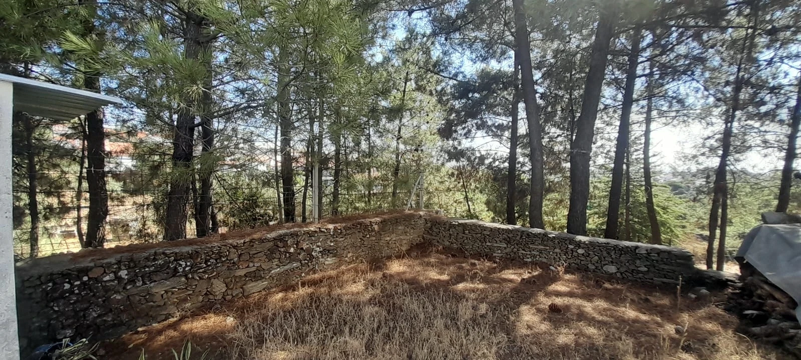 Armazém para Venda em Cebolais de Cima e Retaxo Foto 6