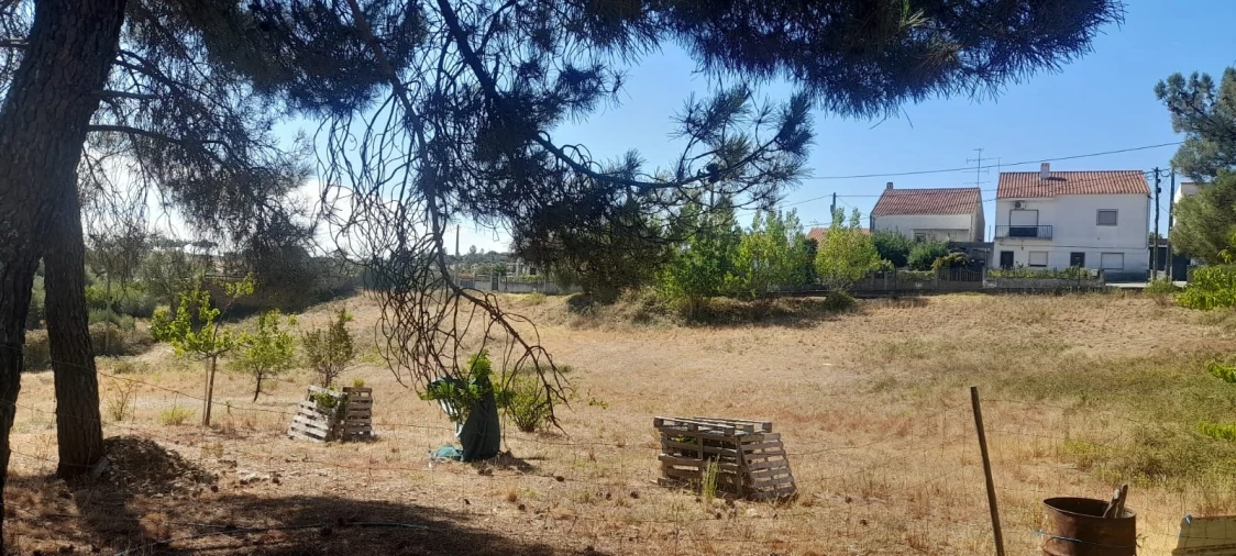 Armazém para Venda em Cebolais de Cima e Retaxo Foto 45