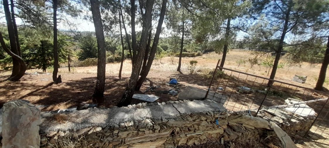 Armazém para Venda em Cebolais de Cima e Retaxo Foto 13