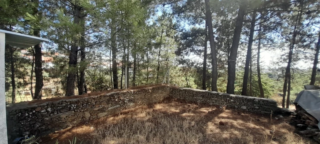 Armazém para Venda em Cebolais de Cima e Retaxo Foto 6